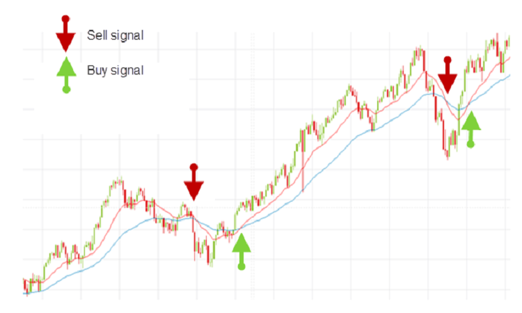 How to Find the Best Trading Signals Free