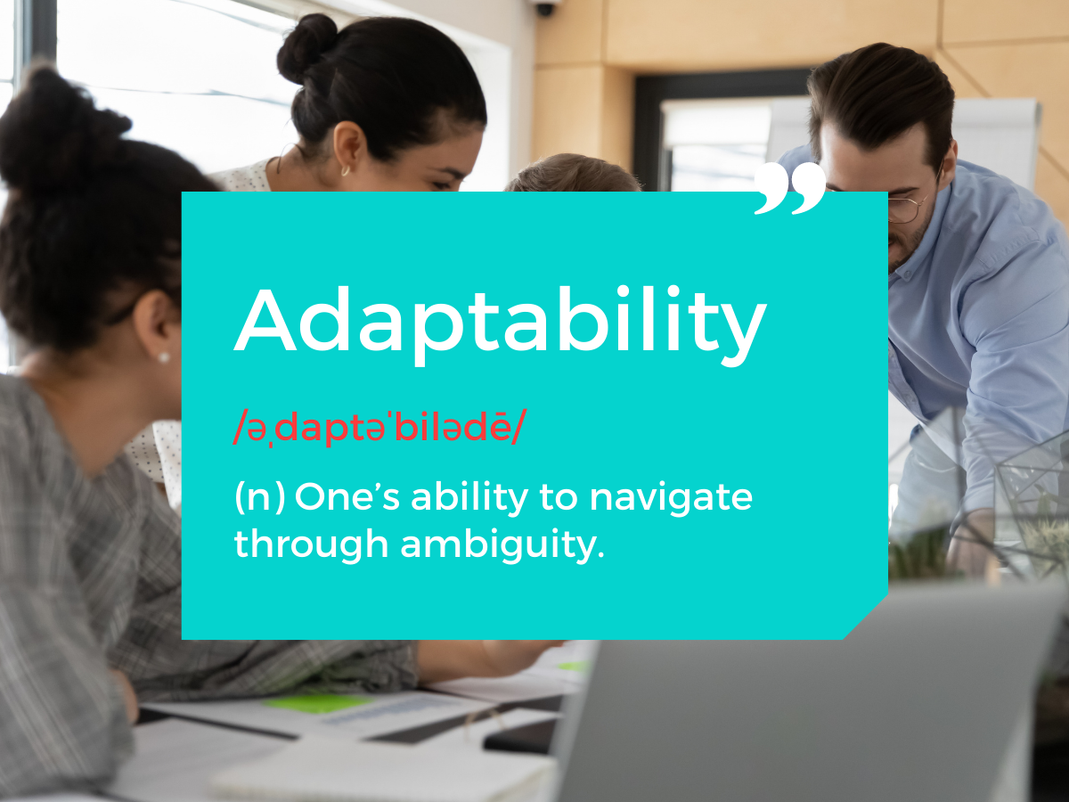 Understanding the Definition of Adaptability