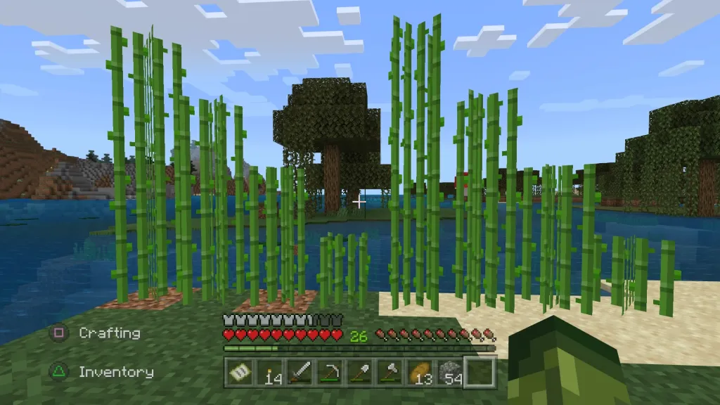 How to Plant Sugar Cane in Minecraft
