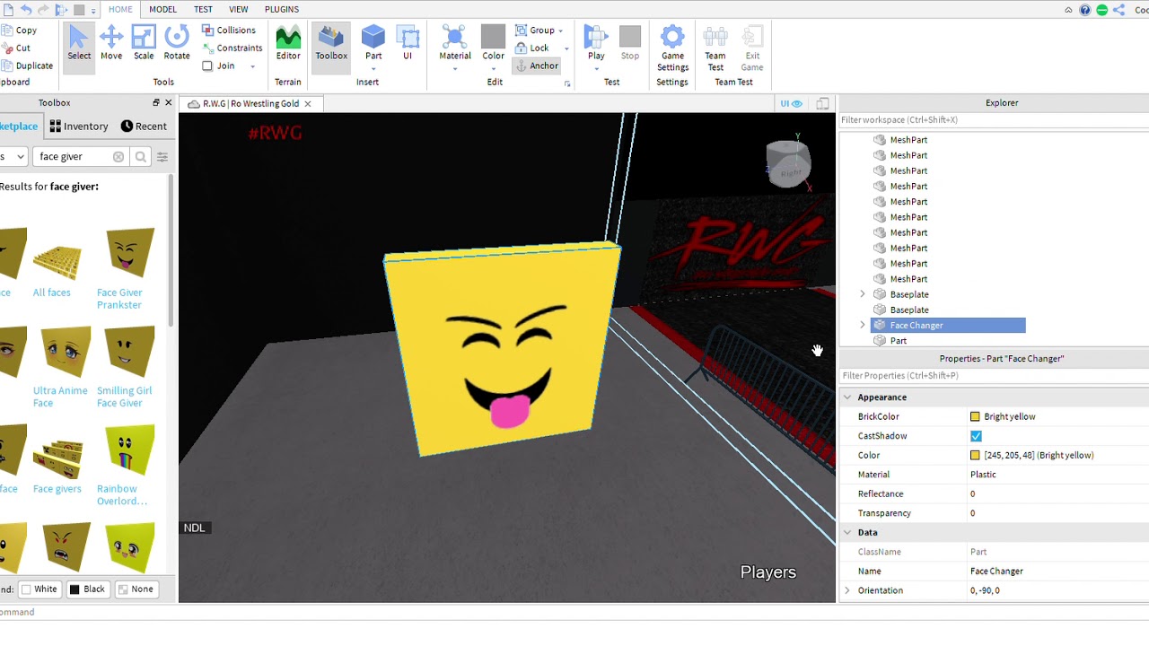 Creating a Custom Face in Roblox