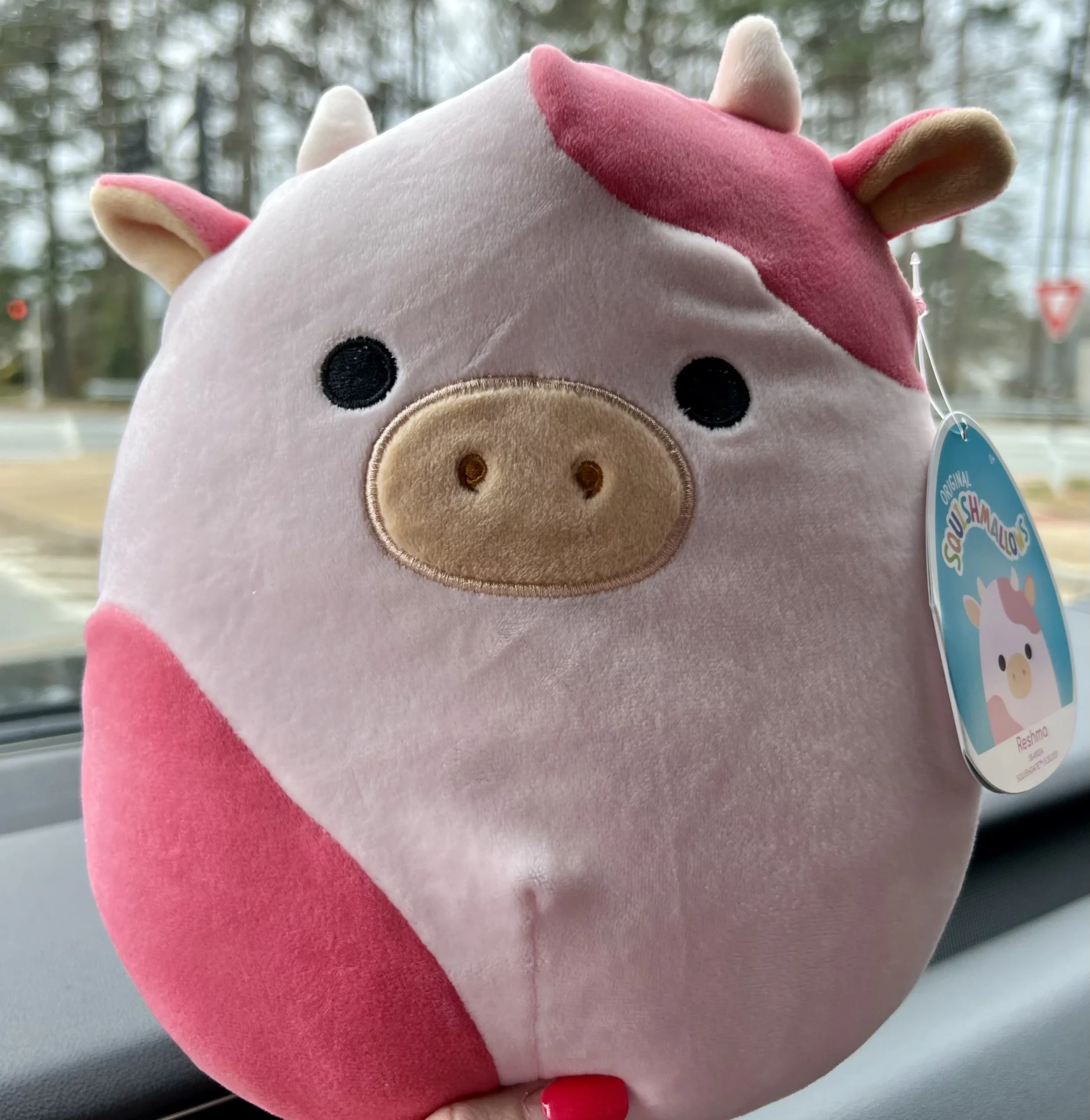 The Adorable Pink Cow Squishmallow