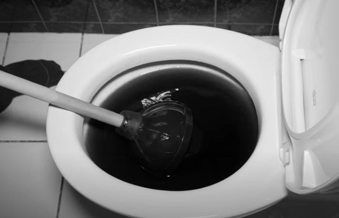 Toilet Flushes but Poop stays